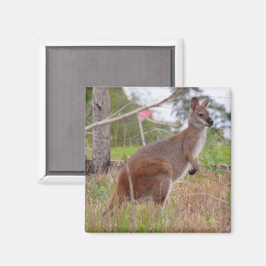 ワラビー マグネット (正面/裏面)