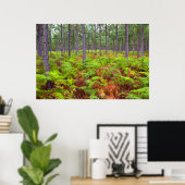 ワラビ（Pteridium Aquilinum）の成長 ポスター (ホームオフィス)