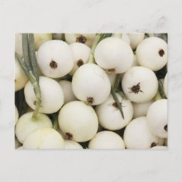 ワラワラスイートオネギ ポストカード