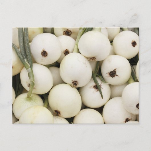 ワラワラスイートオネギ ポストカード (正面)