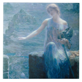 ワルキューレエレガントの御殿 タイル