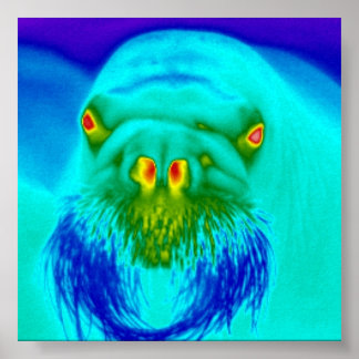 ワルクールス ポスター