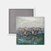 ワルツォグ マグネット (正面/裏面)