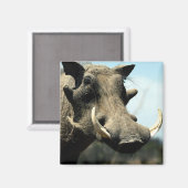 ワルツォークのクローズアップ マグネット (正面/裏面)