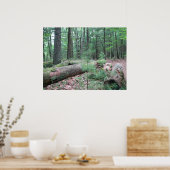 ワルデン森林 ポスター (キッチン)