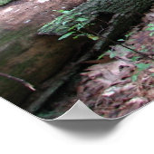 ワルデン森林 ポスター (角)