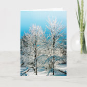 ワルデン池 シーズンカード (正面)