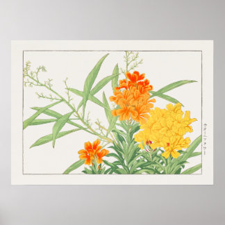 ワルトフラワープラント黄橙花（香南） ポスター