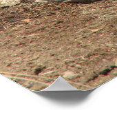 ワルトホグのポスター ポスター (角)