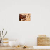 ワルトホグのポスター ポスター (キッチン)