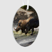 ワルトホグ#1オーナメント オーナメント (正面)