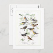 ワルブラーズ ポストカード (正面/裏面)