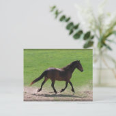 ワルムクロードはがき ポストカード (スタンド正面)