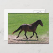 ワルムクロードはがき ポストカード (正面/裏面)