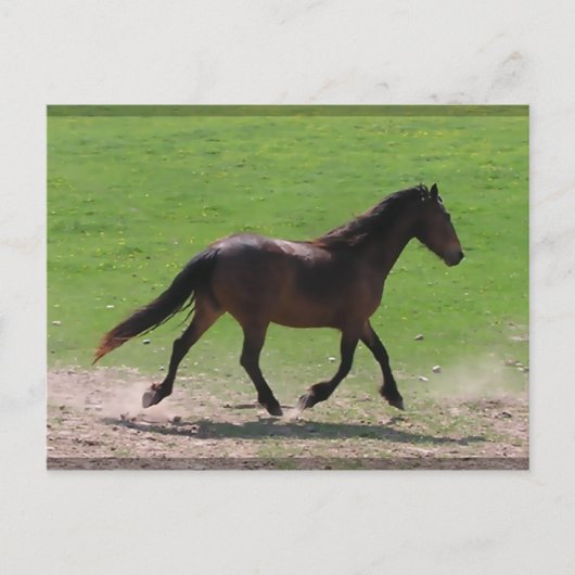 ワルムクロードはがき ポストカード (正面)