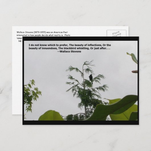 ワレススティーブンス引用文 ポストカード (正面/裏面)