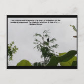 ワレススティーブンス引用文 ポストカード (正面)