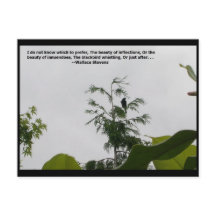 ワレススティーブンス引用文