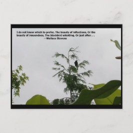 ワレススティーブンス引用文 ポストカード