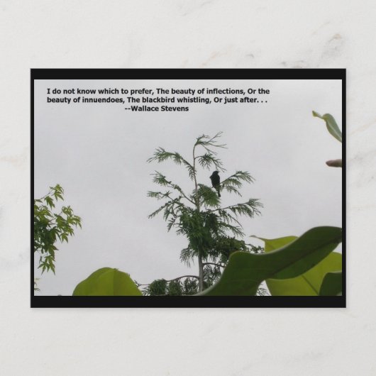 ワレススティーブンス引用文 ポストカード (正面)