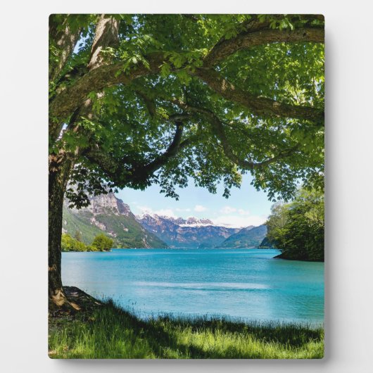 ワレンゼスイス フォトプラーク (正面)