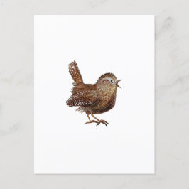 ワレン鳥が大きく美しい歌を歌う ポストカード