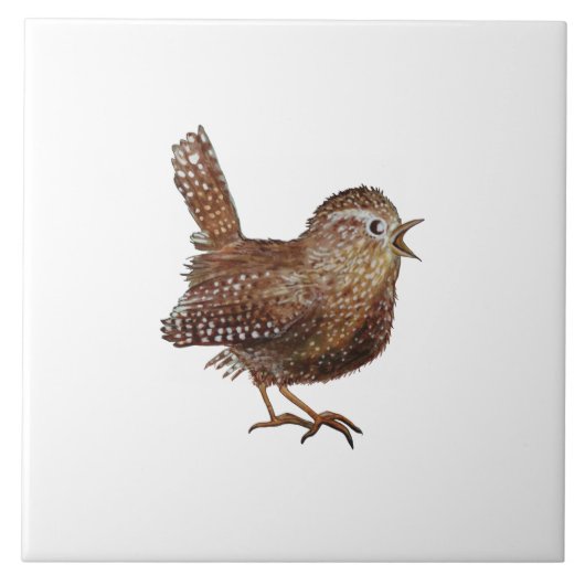 ワレン鳥(トロッグロディテストログロディテス)イラストレーション タイル (正面)