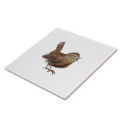 ワレン鳥(トロッグロディテストログロディテス)イラストレーション タイル (側面)