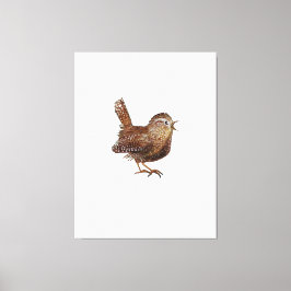 ワレン鳥（トロッグロディテス） キャンバスプリント