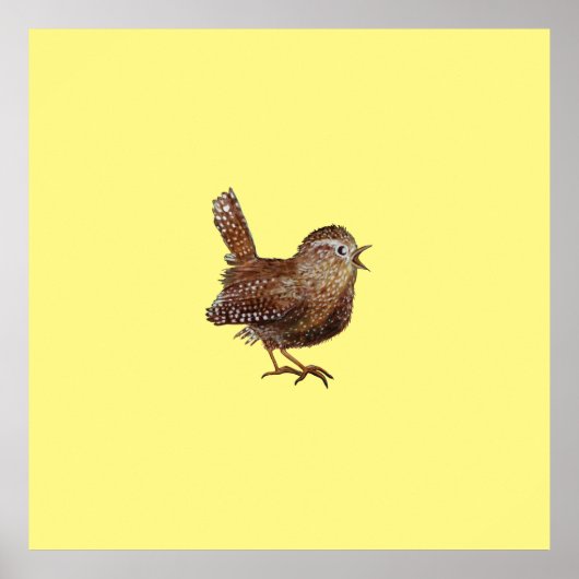 ワレン鳥（トロッグロディテス） ポスター (正面)