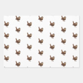 ワレン鳥(トロッグロディテス) ラッピングペーパーシート (正面3)