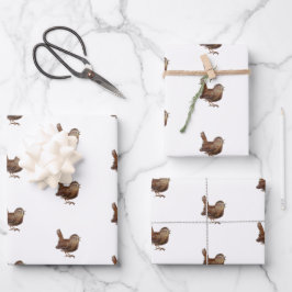 ワレン鳥（トロッグロディテス） ラッピングペーパーシート