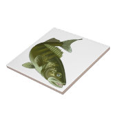 ワレー タイル (側面)