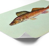 ワレー ポスター (角)