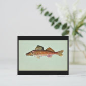 ワレー ポストカード (スタンド正面)