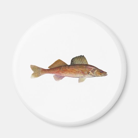 ワレー マグネット (正面)