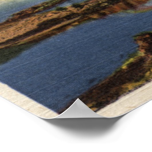 ワロア国有林 ポスター (角)