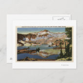 ワロア国有林 ポストカード (正面/裏面)