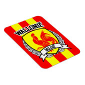 ワロニアチ マグネット (右側)