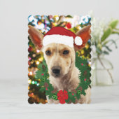 ワンちゃん達に喜ぶ (スタンド正面)