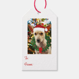 ワンちゃん達に喜ぶ ギフトタグ