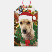 ワンちゃん達に喜ぶ ギフトタグ (裏面)