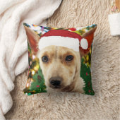 ワンちゃん達に喜ぶ クッション (ブランケット)