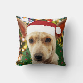 ワンちゃん達に喜ぶ クッション