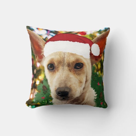 ワンちゃん達に喜ぶ クッション (正面)