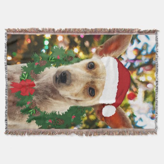 ワンちゃん達に喜ぶ スローブランケット (正面)