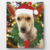 ワンちゃん達に喜ぶ フォトプラーク (正面)