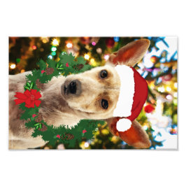 ワンちゃん達に喜ぶ フォトプリント           