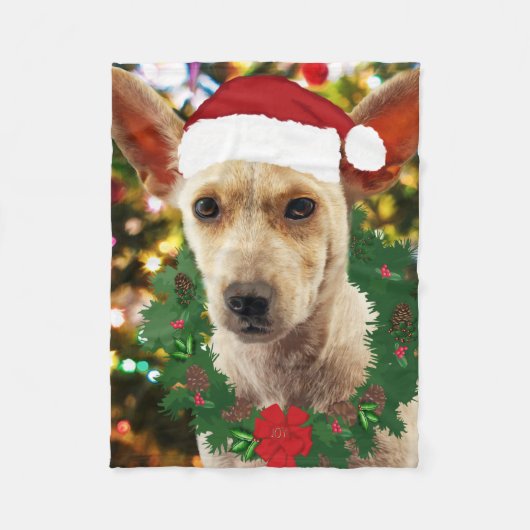 ワンちゃん達に喜ぶ フリースブランケット (正面)