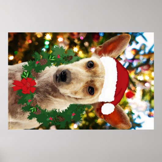 ワンちゃん達に喜ぶ ポスター (正面)